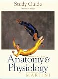 Fundamentals of Anatomy & Physiology Study Guide