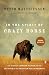 In the Spirit of Crazy Horse