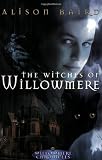 The Witches of Willowmere: Book 1 in the Chronicles of Fairie (Willowmere Chronicles)