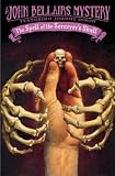 The Spell of the Sorcerer's Skull (Johnny Dixon)