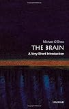 The Brain: A Very Short Introduction