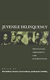 Juvenile Delinquency: Prevention, Assessment, and Intervention