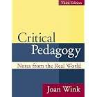Critical Pedagogy : Notes from the Real World (3rd Edition)