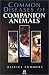 Common Diseases of Companion Animals