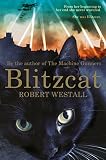 Blitzcat