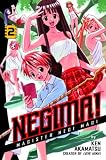 Negima, Vol. 2 : Magister Negi Magi