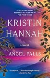 Angel Falls: A Novel