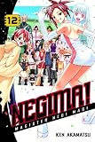 Negima! 12: Magister Negi Magi (Negima!)