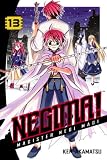 Negima! 13 (Negima!)