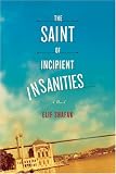 The Saint of Incipient Insanities: A Novel