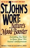 St. John's Wort: Nature's Mood Booster