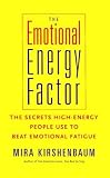 The Emotional Energy Factor: The Secrets High-Energy People Use to Beat Emotional Fatigue