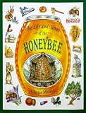 The Life and Times of the Honeybee