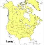 A Field Guide to Insects