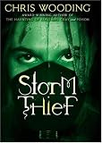 Storm Thief