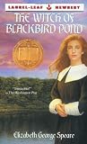 The Witch of Blackbird Pond (Laurel Leaf Books)