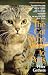 The Cat Who Went to Paris