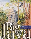 Big Java: Programming and Practice