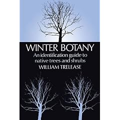 Winter Botany