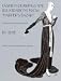 Fashion Drawings and Illustrations from "Harper's Bazar" (Introduction by Stella Blum)