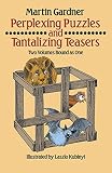 Perplexing Puzzles and Tantalizing Teasers (Math & Logic Puzzles)