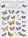 Butterfly stickers full color