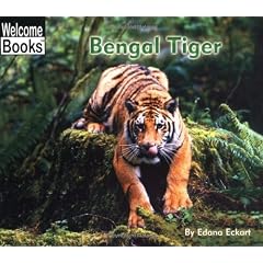 Bengal Tiger 
