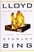 Lloyd--What Happened: A Novel of Business by Stanley Bing