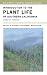 Introduction to the Plant Life of Southern California Coast to Foothills