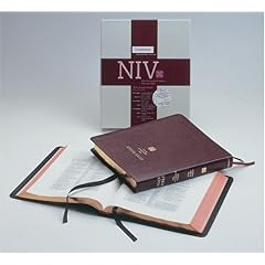 Wide margin NIV Bible