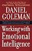 Working with Emotional Intelligence