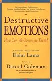 Destructive Emotions: A Scientific Dialogue with the Dalai Lama