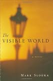 The Visible World