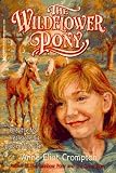 The WILDFLOWER PONY
