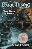 Dark is Rising (Dark is Rising Sequence (Paperback))