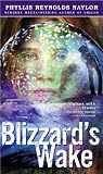 Blizzard's Wake
