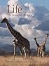 Life & CD-Rom