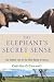 The Elephant's Secret Sense: The Hidden Life of the Wild Herds of Africa