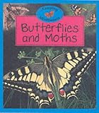 Butterflies and Moths (Keeping Minibeasts)