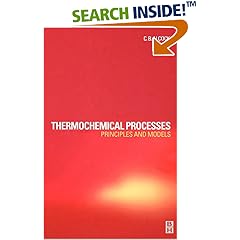 Thermochemical Processes: Principles and Models