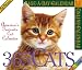 Cat Calendar : The Original 365 Cats Calendar 2006