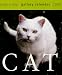 Cat Calendar : Cat Gallery Calendar 2006 
