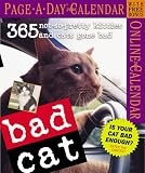 Bad Cat Page-a-Day Calendar 2006: 365 Not-So-Pretty Kitties and Cats Gone Bad