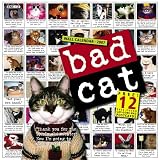 Books : Bad Cat Wall Calendar 2007 - ThingsYourSoul.com :  animals cats bad cat 2007