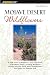 Mohave Desert Wildflowers