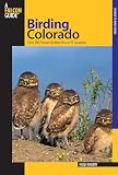 Birding Colorado