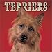 Australian Terrier Dog Breed Book :
 Australian Terriers 2002 Wall Calendar