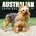 Australian Terrier Dog Breed Book :
 Australian Terriers 2005 Wall Calendar