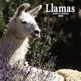 Llamas 2006 Calendar