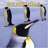 Penguins 2006 Calendar